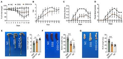 Carnosol Maintains Intestinal Barrier Function and Mucosal Immune Homeostasis in DSS-Induced Colitis